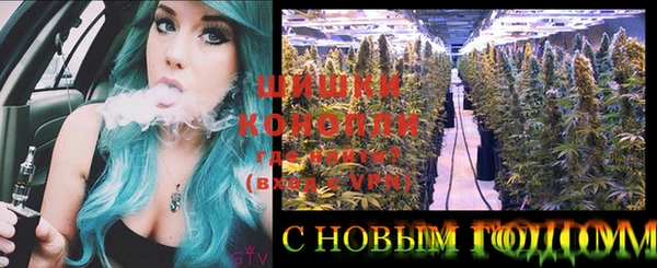 бошки Медногорск