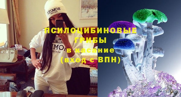 скорость Медвежьегорск