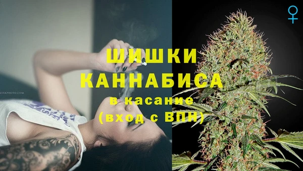 бошки Медногорск