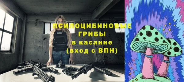 бошки Медногорск