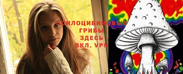 скорость Медвежьегорск