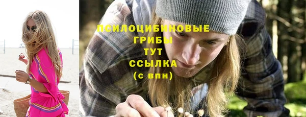 скорость Медвежьегорск