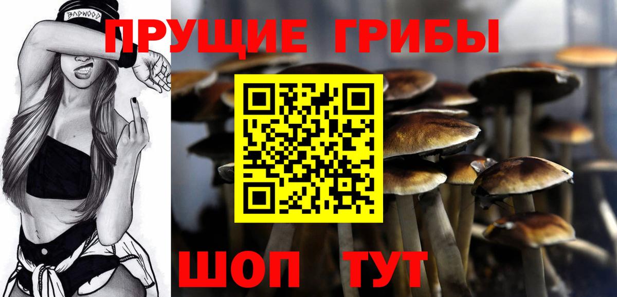 Псилоцибиновые грибы мицелий Орск