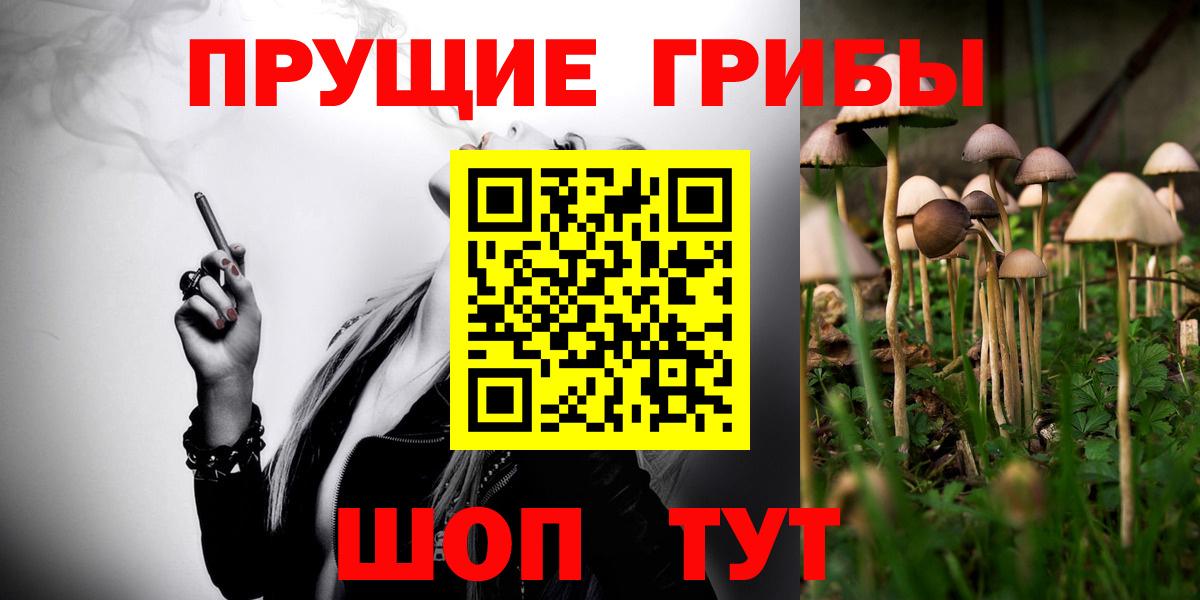 Орск  Галлюциногенные грибы мицелий  дарнет шоп  Вход с VPN  Галлюциногенные грибы GOLDEN TEACHER 